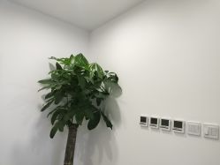 -丰联丽格医疗美容·联合丽格眼整形中心