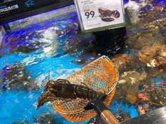 波士顿龙虾-盒马鲜生(岭南新世界店)
