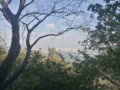 -紫金山山顶公园