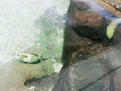 -鸿通城购物中心