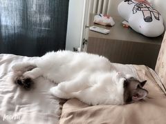 -马路边边串串香(双井直营店)