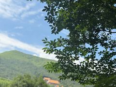 -科学家咖啡(恒隆广场店)