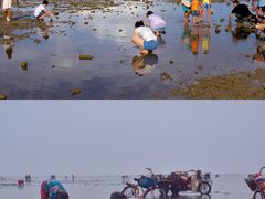 -前王院•巧克力海鲜市集餐厅(万平口店)