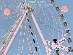 -顾村公园