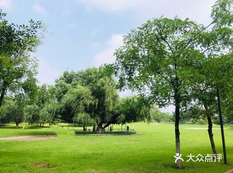 最喜欢遛娃地，满眼绿色看着心情都好，可以搭帐篷吊床