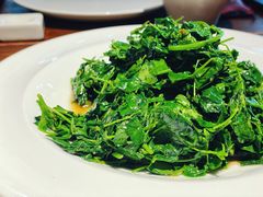 草头-金枝玉叶上海人家食府(三里河店)