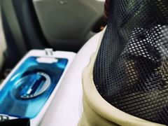 -乐琪宠物医院·犬猫专科·骨外科·急重症