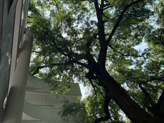 -湖北美术学院(昙华林校区)