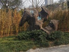 -重庆彩云湖湿地公园