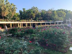 -人民公园(罗湖区)