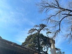 -潭柘寺景区