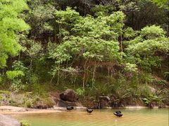 -广州白江湖森林公园