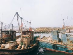 -青岛沙子口国家中心渔港