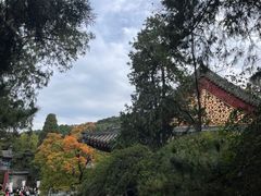 -香山公园