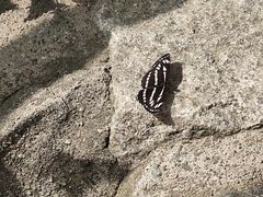 -香山公园
