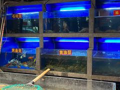 -肥仔文澳门猪骨煲(南京西路店)