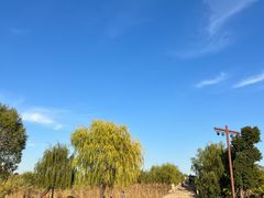 -沙家浜风景区