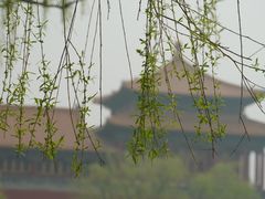 -故宫冰窖餐厅