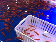 -万达广场(惠州大亚湾店)