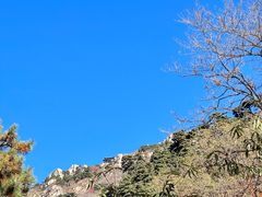 -泰山风景名胜区