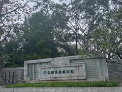 -王借岗森林公园