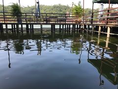 景点-珠海圆明新园
