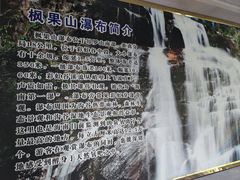 -海南热带雨林国家公园吊罗山景区