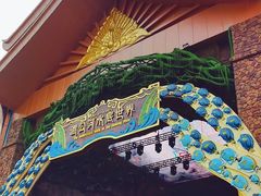 -西双版纳原始森林公园