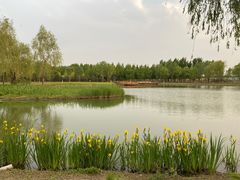 -东郊湿地公园