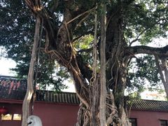 -闽粤南澳总镇府
