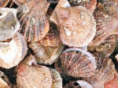 -宾朋美食海鲜餐厅·特色美食专访(兴海路店)