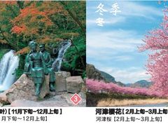 -伊豆观海列车