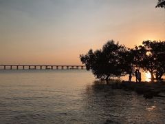 -宝安西湾红树林湿地公园