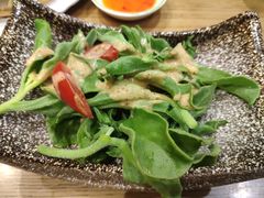解暑冰草沙律-TAIMING泰鸣东南亚餐厅(益华广场店)