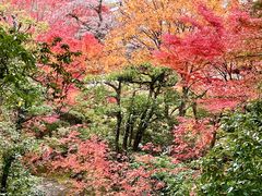 -常寂光寺