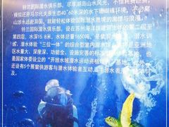 -苏州海洋馆