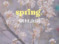 -顾村公园