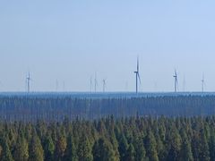 -黄海国家森林公园