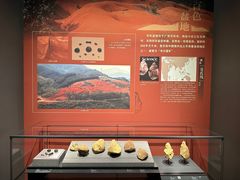 -广西壮族自治区博物馆