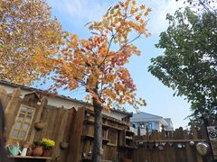 -HERRE·FARM 赫尔露营农场·团建聚会包场