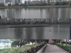 -西北湖绿化广场
