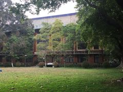 -中山大学学者灵芝(园南路店)