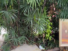 -融汇温泉