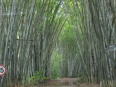 -海南热带野生动植物园