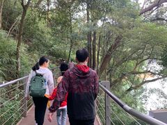 -广州市流溪河国家森林公园