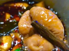 肥肠-晓彭肥肠鸡·泡椒鸡火锅(水木天地店)