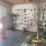 我们三个人要了7个菜，才花了300多，确实菜美价廉