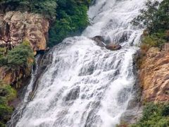 -广州白江湖森林公园