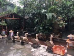 -泉眼温泉