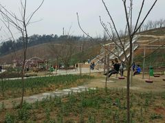 -绵阳盛世樱花悠乐谷